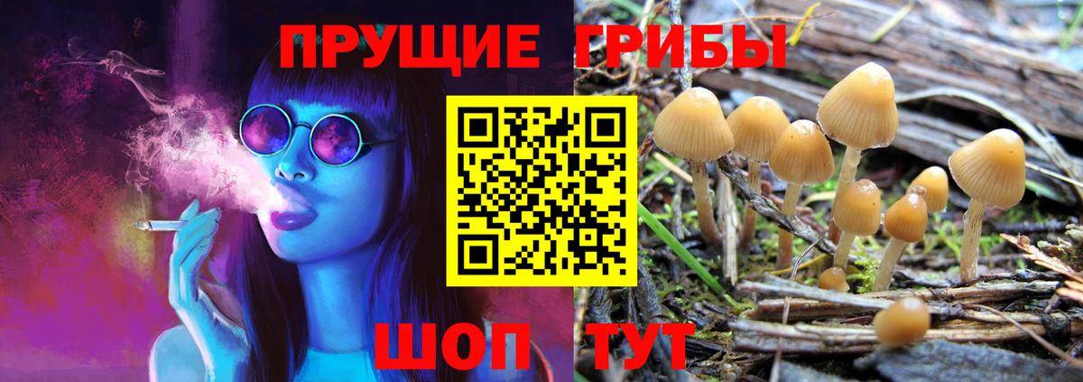 купить наркотики сайты  Вход с VPN  Галлюциногенные грибы GOLDEN TEACHER  Лянтор  Галлюциногенные грибы Magic Shrooms 